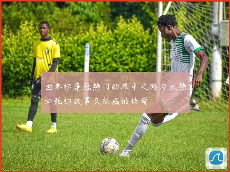 世界杯争冠热门的艰辛之路与大热必死的故事交织成的传奇
