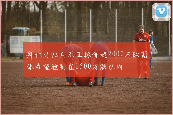 拜仁对帕利尼亚标价超2000万欧葡体希望控制在1500万欧以内